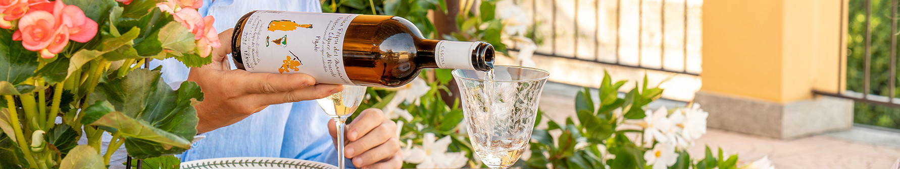 Wine and Vinegar
